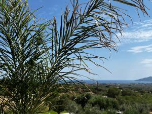 IONISO Boutique Hotel