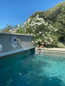 Appartements LES SANTOLINES - Studio a la campagne : photos des chambres