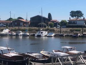 Maisons de vacances A deux pas du port, jolie maison redecoree : photos des chambres