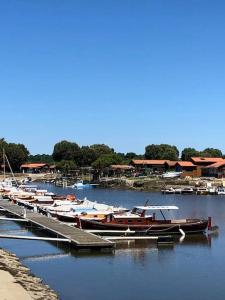 Maisons de vacances A deux pas du port, jolie maison redecoree : photos des chambres