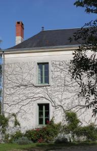 Maisons d'hotes Gite Moulin d'Olivet : photos des chambres
