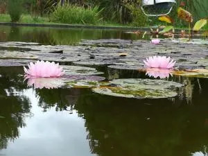 Las Rosas - Mar Azul