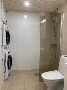 Arctic Star Apartment Rovaniemi City Center - Aurora view