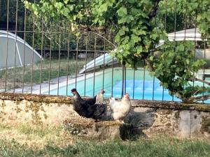 Villas Le Colombier, paradis en Loire : photos des chambres