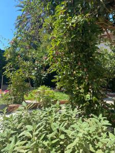 Tesori del Sinis img42