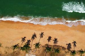 MrMango Weligama