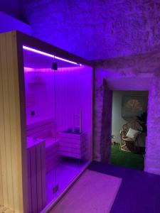 Maisons de vacances Maison de 7 chambres avec sauna jardin clos et wifi a Niort : photos des chambres