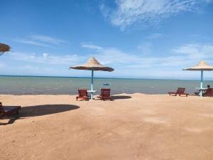 شاليهات للإيجار في الاحياء