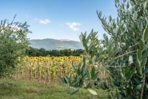 Appartamento con 3 Camere da Letto