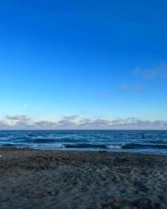 Appartements Loft entier (60m2) • Vue Mer Mediterranee • La Sirene : photos des chambres