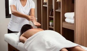 Palmetto Hotel Business San Miguel