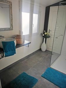 Appartements Le Cocon d'Aurore : photos des chambres