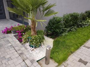 H49 Jacuzzi Penthouse-Adults only