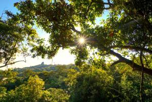 ENCANTO Minicasitas en medio de la naturaleza