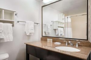 King Room with King Bed - Non-Smoking room in Hampton Inn Loveland