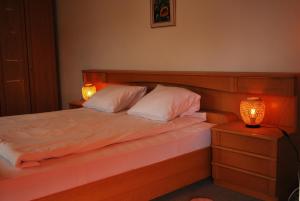 Apartment with balcony and Panoramic Views of Alps