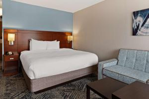 King Room with Sofa Bed - Non-Smoking room in Sonesta Select Spartanburg