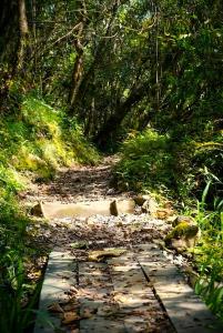 ENCANTO Minicasitas en medio de la naturaleza