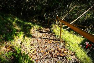ENCANTO Minicasitas en medio de la naturaleza
