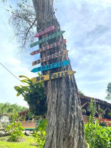 Finca Cafetera Madrigal - Café Sortiz