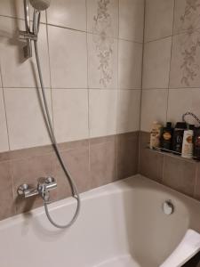 Turaidas apartment Jurmala