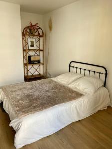 Appartements Beau 3 pieces cosy avec parking et terrasse : photos des chambres