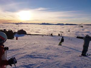 Villas Belle maison au coeur des Alpes : photos des chambres