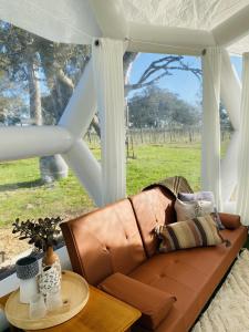 Coonawarra Hampton Bubble 2