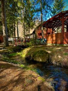 Riksberg Chalet in Harghita Mountains