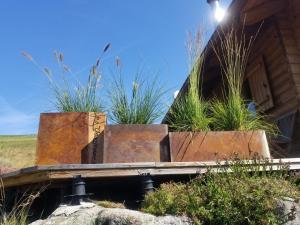 Chalets Chalet Les Vosgiennes : photos des chambres