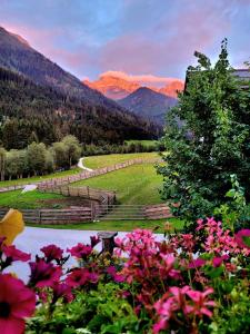 ARCHE Hof Öbristhof