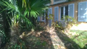 LAGO 2 Executive Downtown Lugano