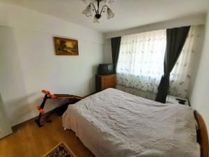 Apartment Eminescu - A pleasant stay in Bacau