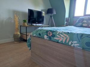 Appartements Green cosy : photos des chambres