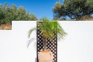 Georgias Apartments Kouremenos Beach