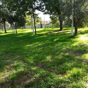 Empty Lot