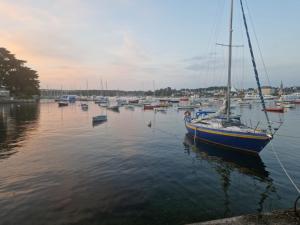 Maisons de vacances Villa H ste Marine : photos des chambres