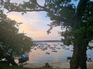 Maisons de vacances Villa H ste Marine : photos des chambres