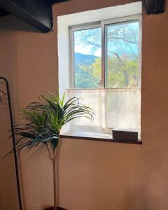 ENSO Residence 古民家離れ一棟貸切宿 東近江市五個荘 定員6名 ペットリクエスト可