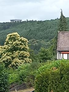 Maisons de vacances Au tonneau bleu : photos des chambres