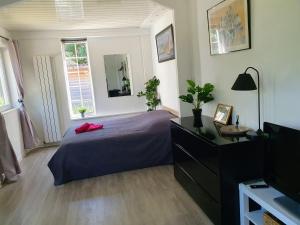 Appartements Studio independant et chambres dans maison avec jardin-Carre de Soie : photos des chambres