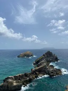 TI YOUMAÉ - Belle-Allée