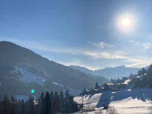 Kastnhäusl Wildschönau - urige Hütte mit Bergblick