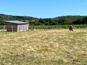 Gîte Diamant, Vallée du Scorff, Nature, Bien-être, 6 personnes