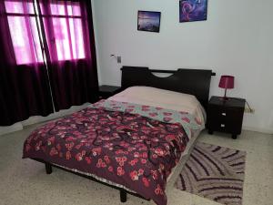 Palmeraies vacances Tunis