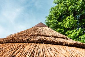 Double Room room in Rovezzano B&B