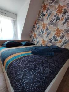 Le ptit nid de Louviers TVFibre