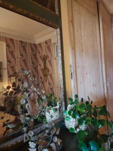 Sejours chez l'habitant Rose's room : photos des chambres