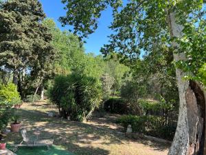 Maisons de vacances SCI Domaine Saint Martin le grand : photos des chambres