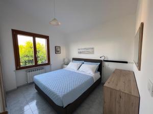 Casetta tra gli ulivi